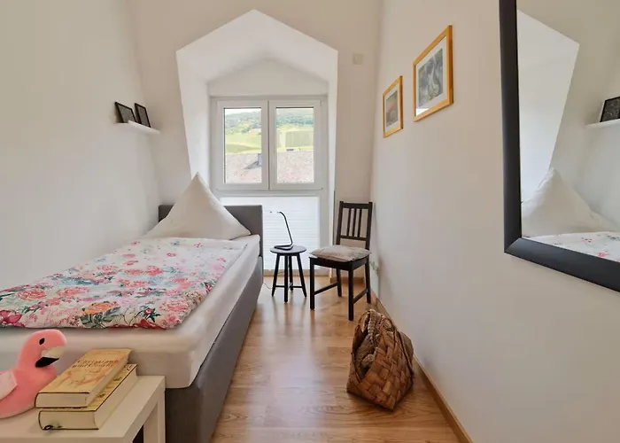 Apartamento Alte Druckerei *